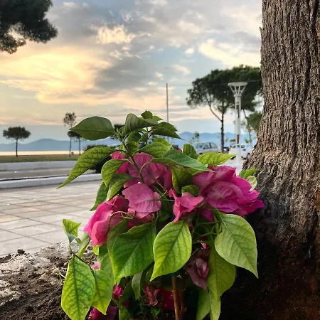 Hotel Mirtia Pefki (Evia)