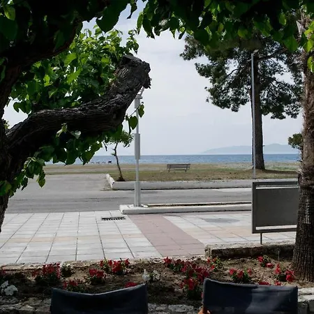 Ξενοδοχείο Mirtia Πευκί