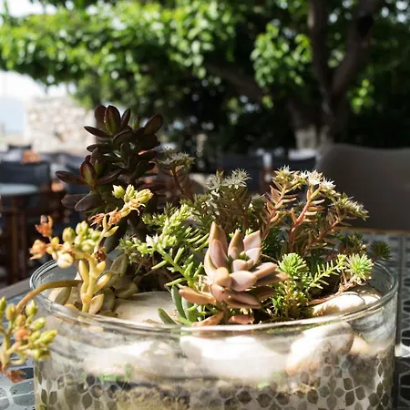 Ξενοδοχείο Mirtia Πευκί