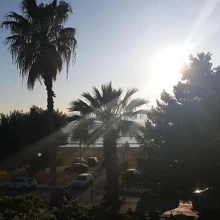 Mirtia