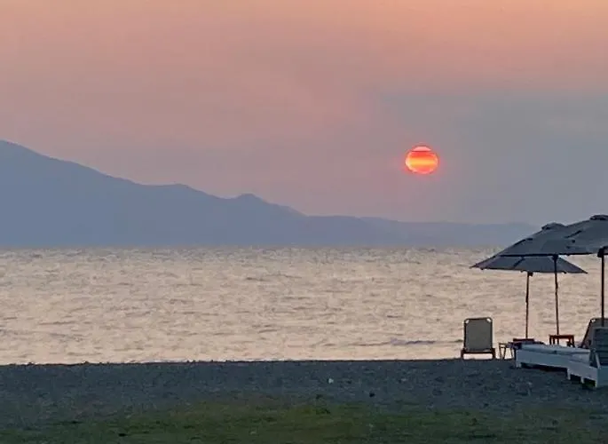 Ξενοδοχείο Mirtia 2*