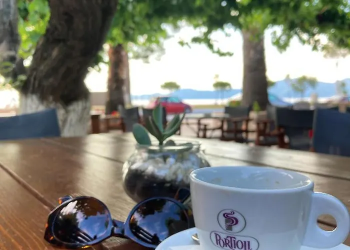 Mirtia 2* Πευκί