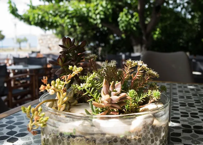 Ξενοδοχείο Mirtia Πευκί